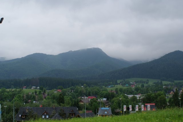 dsc04790.jpg