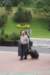 dsc04810_small.jpg