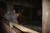 dsc05331_small.jpg