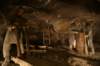 dsc05361_small.jpg