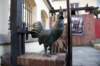 dsc00679_small.jpg