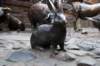 dsc00681_small.jpg