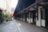 dsc00684_small.jpg