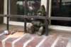 dsc09938_small.jpg
