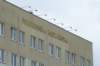 _09_0912ammekolobrzeg202_small.jpg
