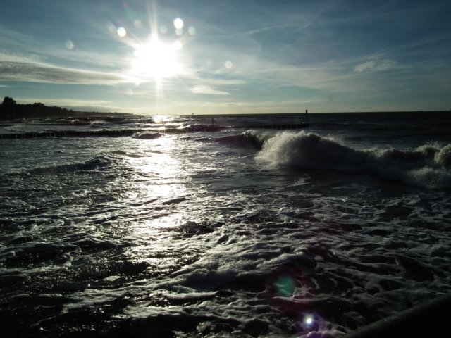 photo5.jpg